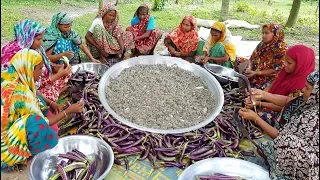 Long Purple  Eggplant Roast - Too Tiny Shrimp Mixed Brinjal Curry Cooking By Village Women