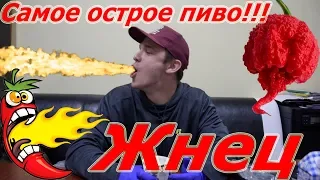 Самое острое пиво!!! "Жнец" + рецепт шикарной индейки гриль!