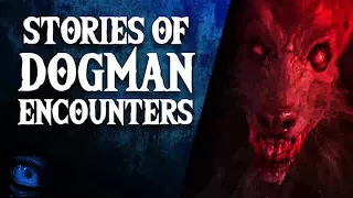 WOLVES FROM HELL - 28 NIGHTMARE ENCOUNTERS WITH DOGMAN   DOGMAN SIGHTINGS - What Lurks Above