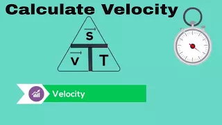 Calculate Average Velocity
