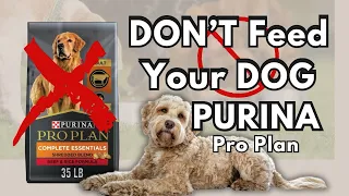 TikTok RUMORS: Purina Dog Food Says It’s NOT True | January 2024