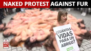 Spain Animal Rights Activist Shed Clothes To Protest Against Fur Industry