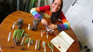 UNBOXING - INCREDIBLE Cacti & Succulents from Cactimania on You Tube