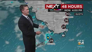 Miami Weather: Weekend Forecast