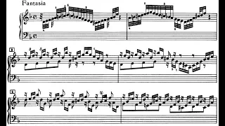 J.S. Bach Chromatic Fantasia and Fugue in d minor, BWV 903 (Schiff)