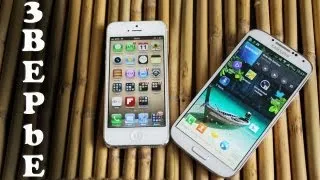 iPhone 5 против Galaxy S4