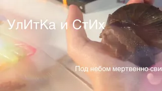 Улитка читает СтИх Родина!