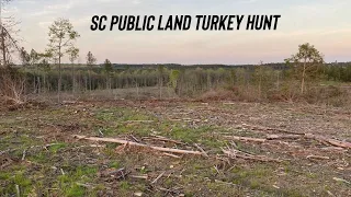 SC PUBLIC LAND TURKEY HUNTING! 3 ENCOUNTERS w/ a SC TOM