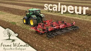 Premier travail avec le scalpeur Horsch Terrano