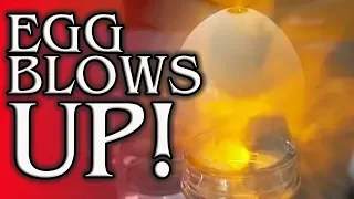 What Does an Exploding Egg Look Like?