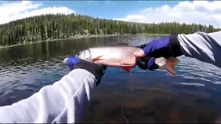 Solo backpacking trip in the High Uintas to one of my favorite brook trout lakes.