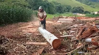 Galera é assim qui faço lasca virando a tora .