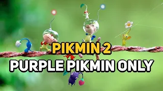 Can You Beat PIKMIN 2 With Only Purple Pikmin?