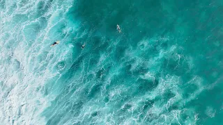 Chill Relax Hawaii Waves ✨ Ocean Therapy🕊️　 Lofi Music