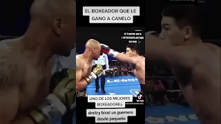 dmitry bivol highlights 2023. #boxeo #boxing #training #viral #canelo #workout #boxinglife #boxing