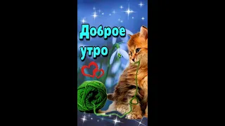 🌞🍁💗Доброго утра благословенного дня!💗Красивое музыкальное пожелание💗