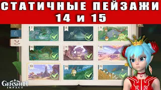 Статичные Пейзажи 14 и 15 | Genshin Impact | Отправляйтесь в указанное на снимке место, гайд Сумеру