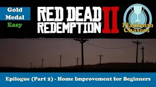 Home Improvement for Beginners - Gold Medal Guide - Red Dead Redemption 2