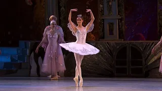 EXTRACT | 'Dance of the Sugar Plum Fairy' - NUTCRACKER (Tchaikovsky) - National Opera of Ukraine