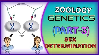 ZOOLOGY GENETICS (PART-3)//12th CLASS// +2 SCIENCE// NCERT// CBSE// CHSE// NEET // OUAT// AIIMS