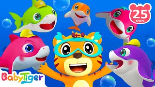 Baby Shark🐟️ & Baby Tiger Doo Doo Doo +More Animal Songs & Nursery Rhymes for Toddlers | BabyTiger