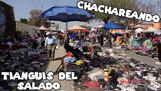 Chachareando En El Tianguis Del Salado