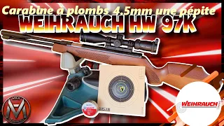 Je suis amoureux ! Carabine Weihrauch HW 97 K 4.5 mm une merveille !