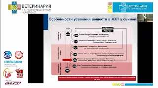 Швагер Е.Б. Здоровье желудочно-кишечного тракта: зона общей ответственности ветврачей и технологов.