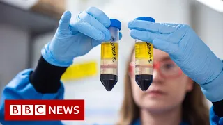 Coronavirus: When can I get the COVID-19 vaccine? - BBC News