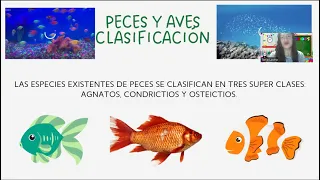 Tema 2: Aves y Peces