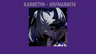 Канистра - HOFMANNITA (slowed + reverb)   | Lea MINT