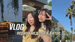 vlog: переезд в Китай, обустройство и первые эмоции от Поднебесной