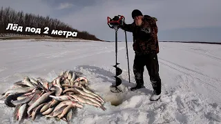 Лютая рыбалка на Амуре. Лед под 2 метра. Ловля щуки на махалку.