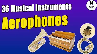 Aerophones: 36 Musical Instruments with Pictures & Video | Ethnographic Classification