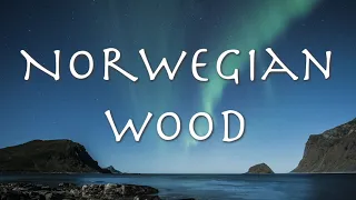 'Norwegian Wood' - The Beatles（Cover) with lyrics and Japanese translation「ノルウェーの森」ビートルズ のカバー　洋楽和訳