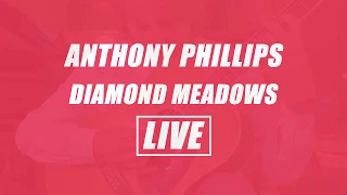 Anthony Phillips - Diamond Meadows [Live Session]