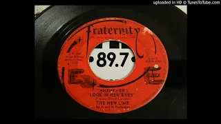 The New Lime - Whenever I Look In Her Eyes (1965)