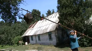 Як зняти рій бджіл з дерева? Розповідає пасічник Петро Лебедюк.