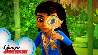 Case of the Lost Treehouse 🌳 | Mira, Royal Detective | @disneyjunior