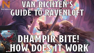 Dhampir Bite, How Does it Work? | Nerd Immersion