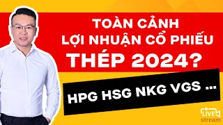 TOÀN CẢNH LỢI NHUẬN NGÀNH THÉP 2024 VÀ GÓC NHÌN ĐẦU TƯ ( HPG HSG NKG) | ĐẦU TƯ CHỨNG KHOÁN