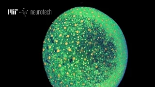 Neurotech 1: Multi-Photon Microscopy