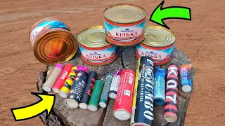 ✅🔥BIG FIRECRACKERS vs CANNED FOOD🔴Сюрстрёмминг vs ПЕТАРДЫ💣Взрываем Мощные Петарды под Банкамим рыбы