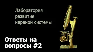 Савельев С. В. отвечает на вопросы читателей. Вопрос #2. Размножение и социум