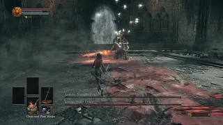 Twin Princes SL1 no upgrades / infusions (Long sword)