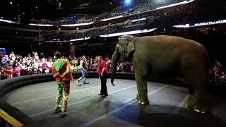 Major US circus scraps elephant acts