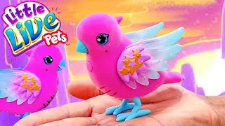 New Little Live Pets Singing Lil Bird Toy Unboxing | Repeats What You Say !!! So Cool !!!!