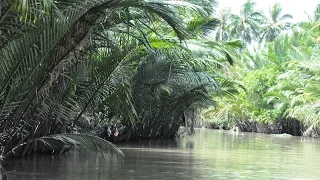 Экскурсия в дельту Меконга