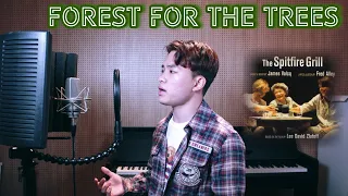 Forest for the Trees - The Spitfire Grill | 스핏 파이어 그릴