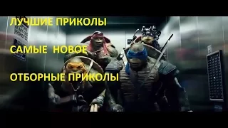 Новые Смешные Видео Приколы 2016 лучшие приколы